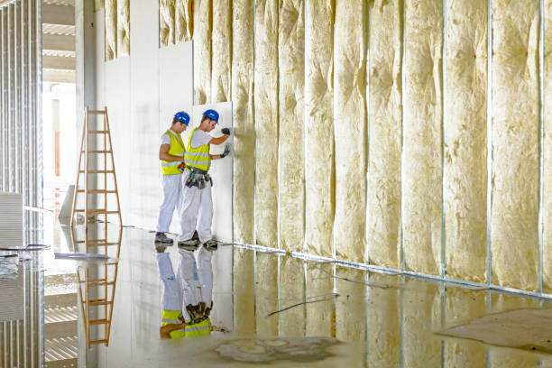 Best Spray Foam Insulation in Gibsonville, NC